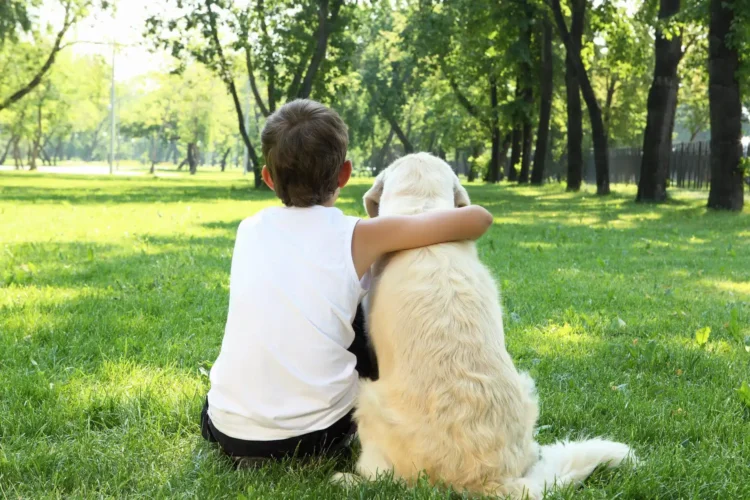Animali domestici aiutano
