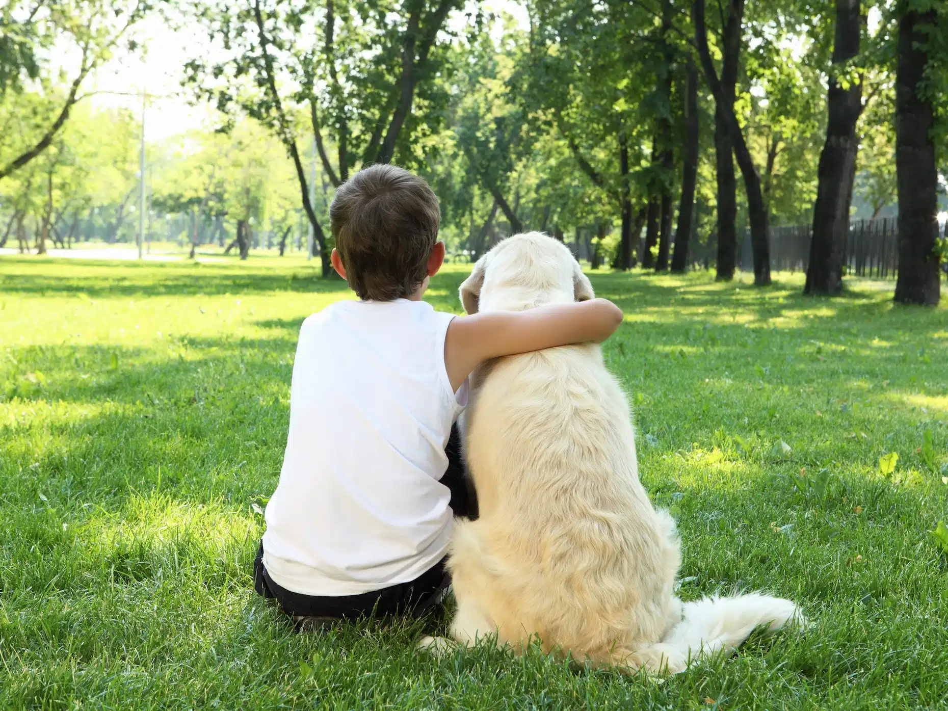 Animali domestici aiutano